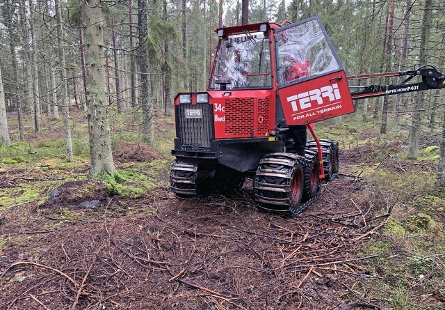 Svensk tre-i-éner lister af sted i skoven