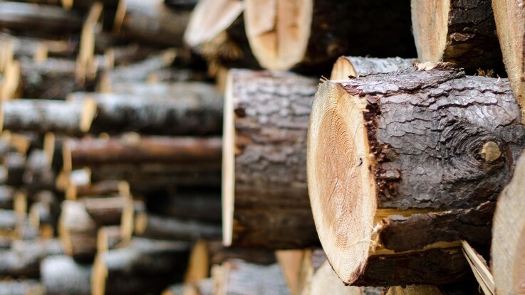 Dansk Skovforening følger tyverier af træ tæt